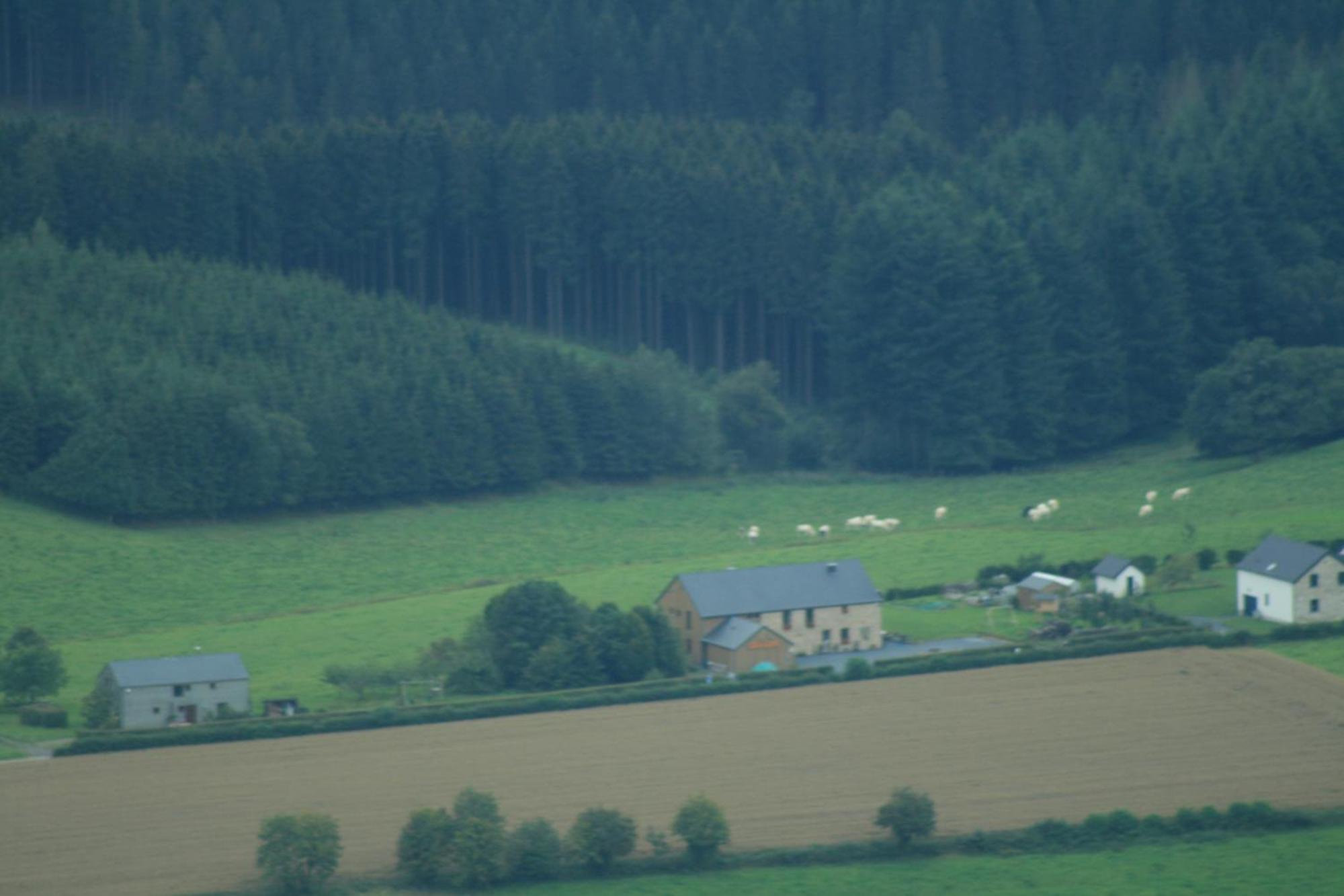 Chambres D'Hotes Les Trappeurs Silence & Nature Tenneville Exteriér fotografie
